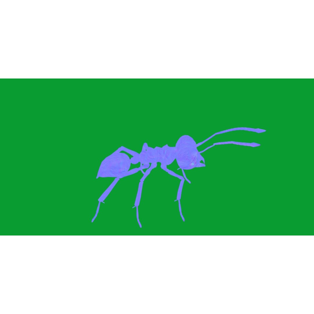 Leafcutter Ant 3D Model – Low Poly Game Asset, Rigged, FBX, PBR - View 13