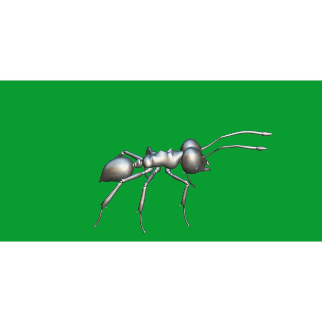 Leafcutter Ant 3D Model – Low Poly Game Asset, Rigged, FBX, PBR - View 16