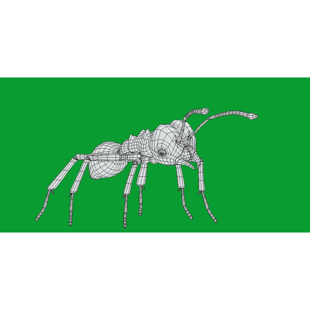 Leafcutter Ant 3D Model – Low Poly Game Asset, Rigged, FBX, PBR - View 18