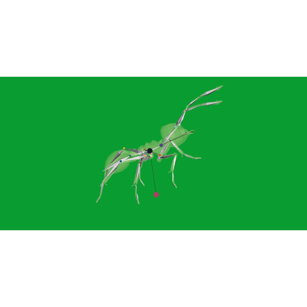 Leafcutter Ant 3D Model – Low Poly Game Asset, Rigged, FBX, PBR - View 19