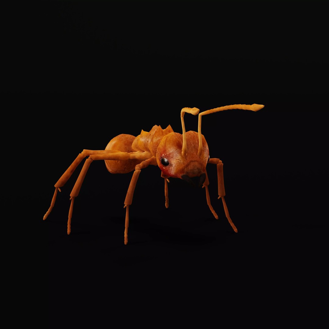 Leafcutter Ant 3D Model – Low Poly Game Asset, Rigged, FBX, PBR - View 2