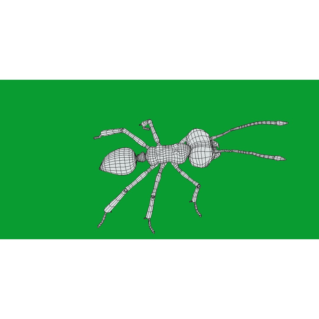 Leafcutter Ant 3D Model – Low Poly Game Asset, Rigged, FBX, PBR - View 20