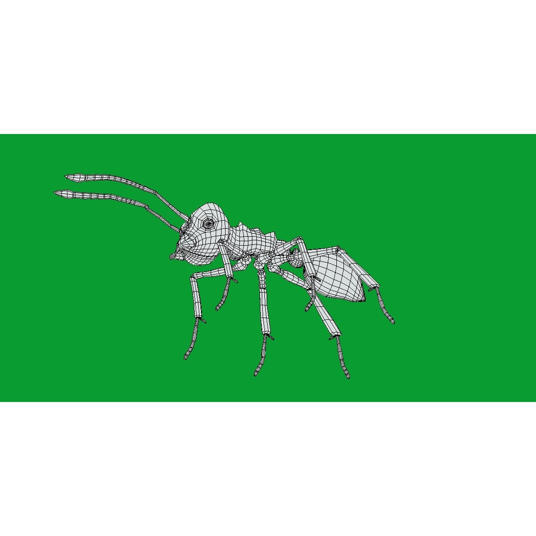 Leafcutter Ant 3D Model – Low Poly Game Asset, Rigged, FBX, PBR - View 21