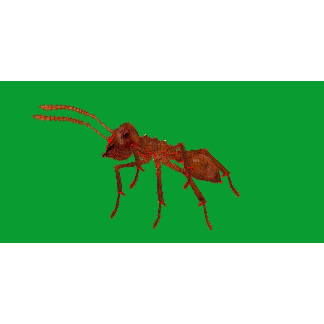Leafcutter Ant 3D Model – Low Poly Game Asset, Rigged, FBX, PBR - View 22