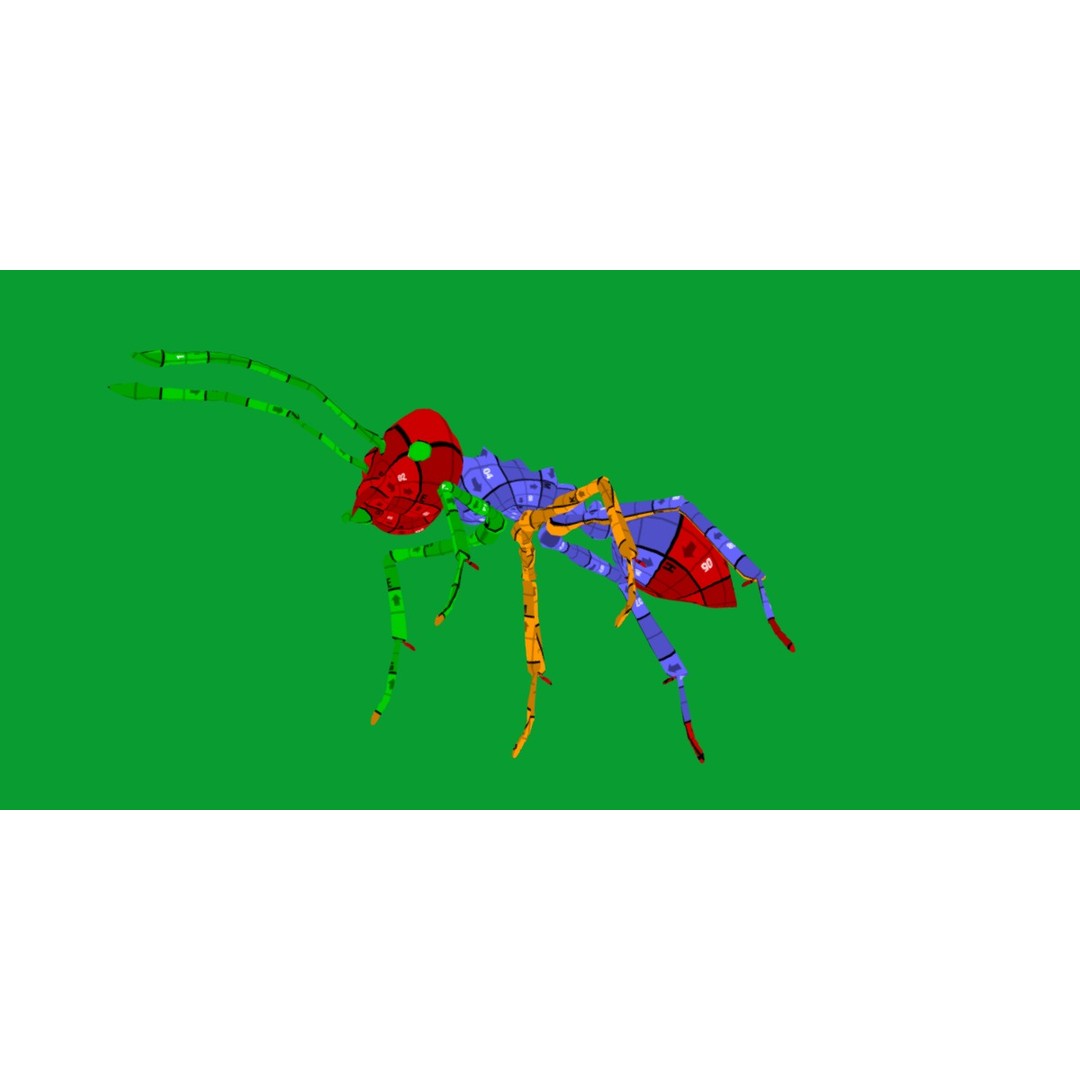Leafcutter Ant 3D Model – Low Poly Game Asset, Rigged, FBX, PBR - View 23