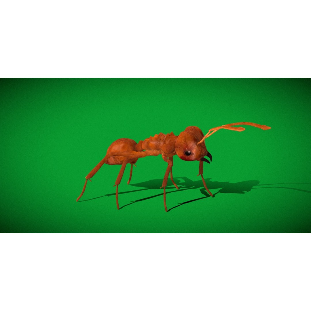 Leafcutter Ant 3D Model – Low Poly Game Asset, Rigged, FBX, PBR - View 25