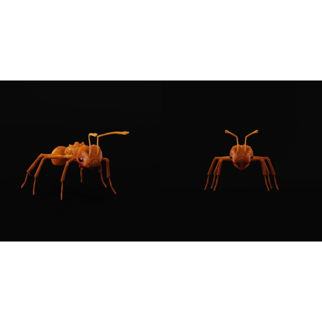 Leafcutter Ant 3D Model – Low Poly Game Asset, Rigged, FBX, PBR - View 26