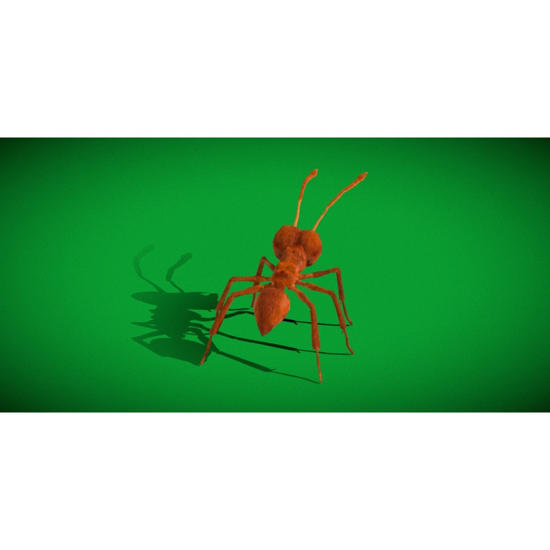 Leafcutter Ant 3D Model – Low Poly Game Asset, Rigged, FBX, PBR - View 27