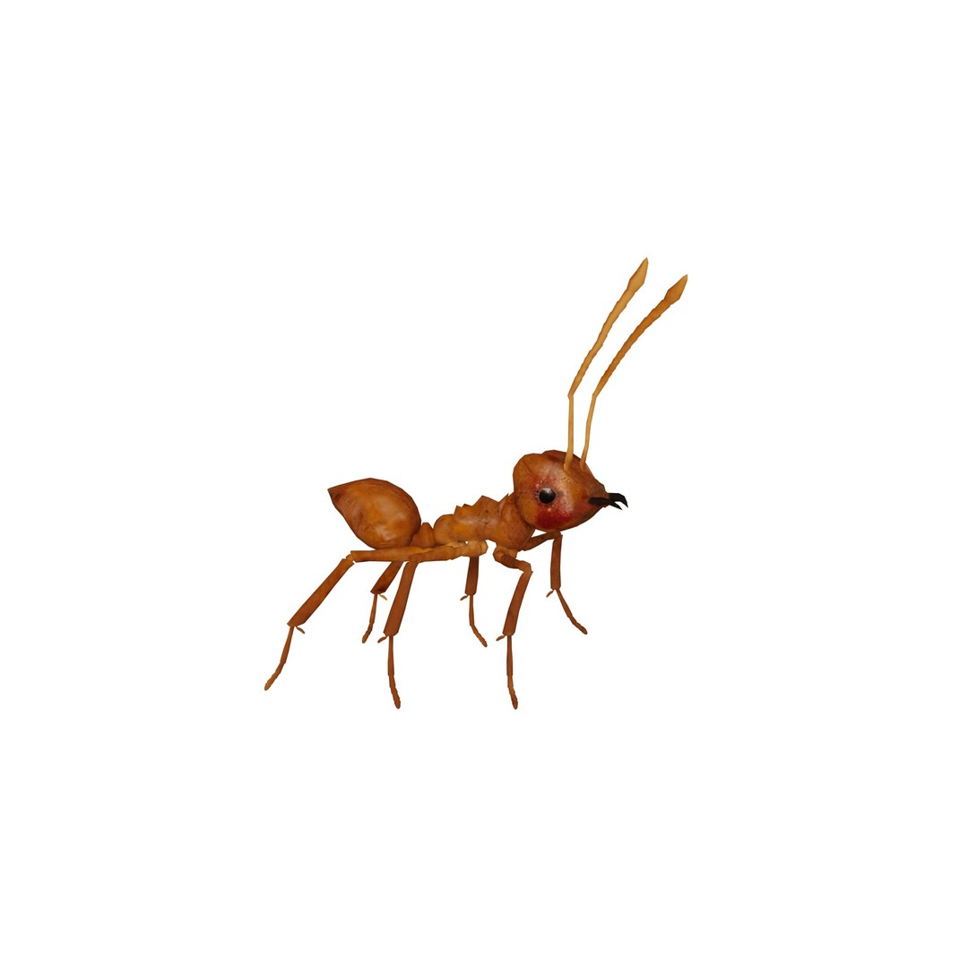 Leafcutter Ant 3D Model – Low Poly Game Asset, Rigged, FBX, PBR - View 3