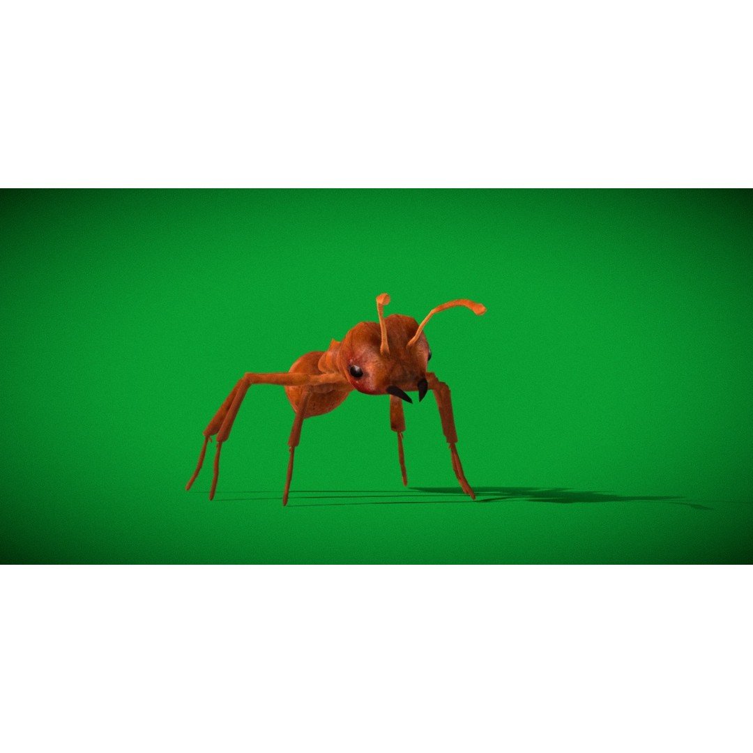 Leafcutter Ant 3D Model – Low Poly Game Asset, Rigged, FBX, PBR - View 32