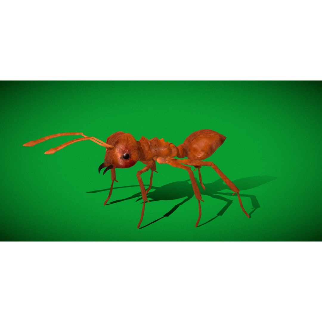 Leafcutter Ant 3D Model – Low Poly Game Asset, Rigged, FBX, PBR - View 33
