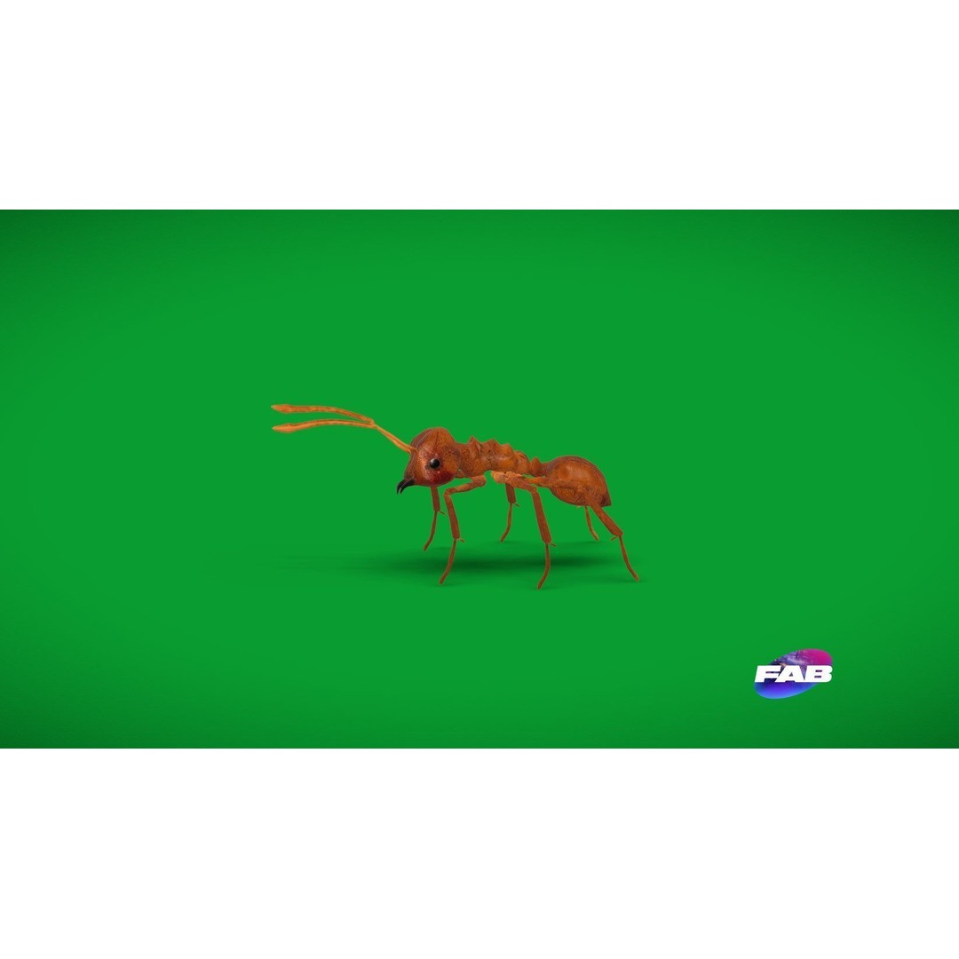 Leafcutter Ant 3D Model – Low Poly Game Asset, Rigged, FBX, PBR - View 34