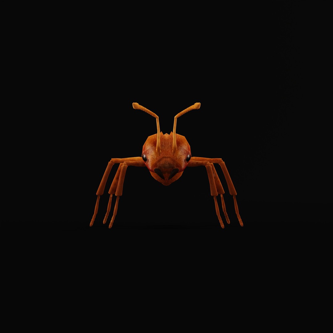 Leafcutter Ant 3D Model – Low Poly Game Asset, Rigged, FBX, PBR - View 35