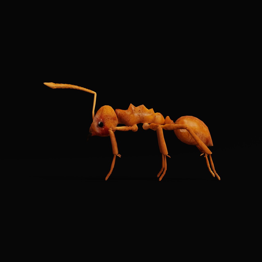 Leafcutter Ant 3D Model – Low Poly Game Asset, Rigged, FBX, PBR - View 36