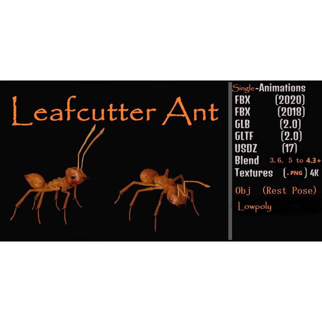 Leafcutter Ant 3D Model – Low Poly Game Asset, Rigged, FBX, PBR - View 4
