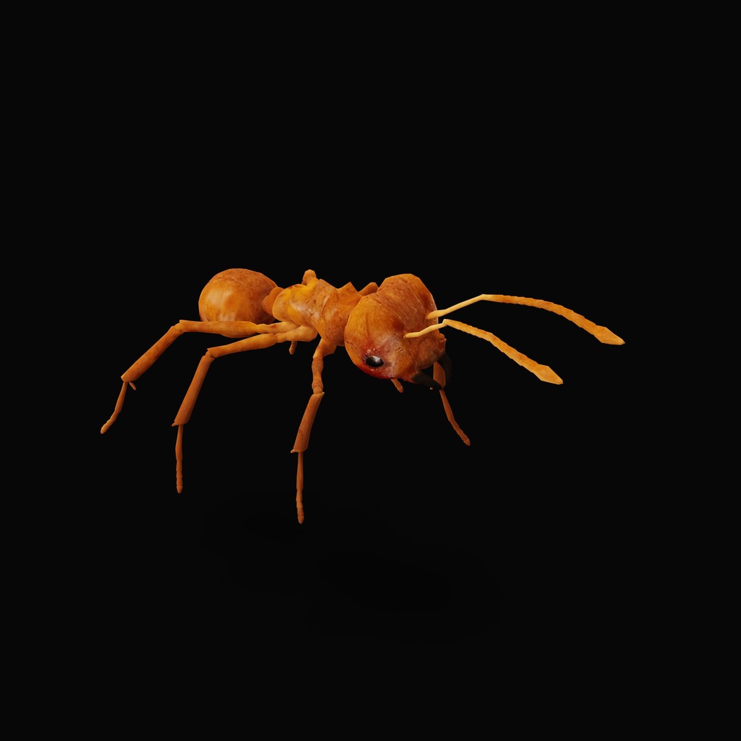Leafcutter Ant 3D Model – Low Poly Game Asset, Rigged, FBX, PBR - View 40