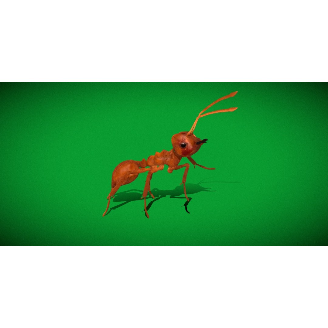 Leafcutter Ant 3D Model – Low Poly Game Asset, Rigged, FBX, PBR - View 5