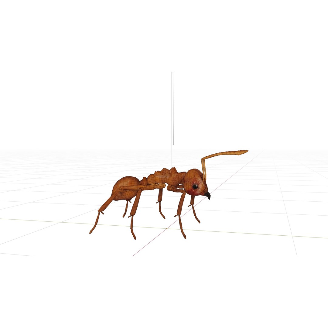 Leafcutter Ant 3D Model – Low Poly Game Asset, Rigged, FBX, PBR - View 6