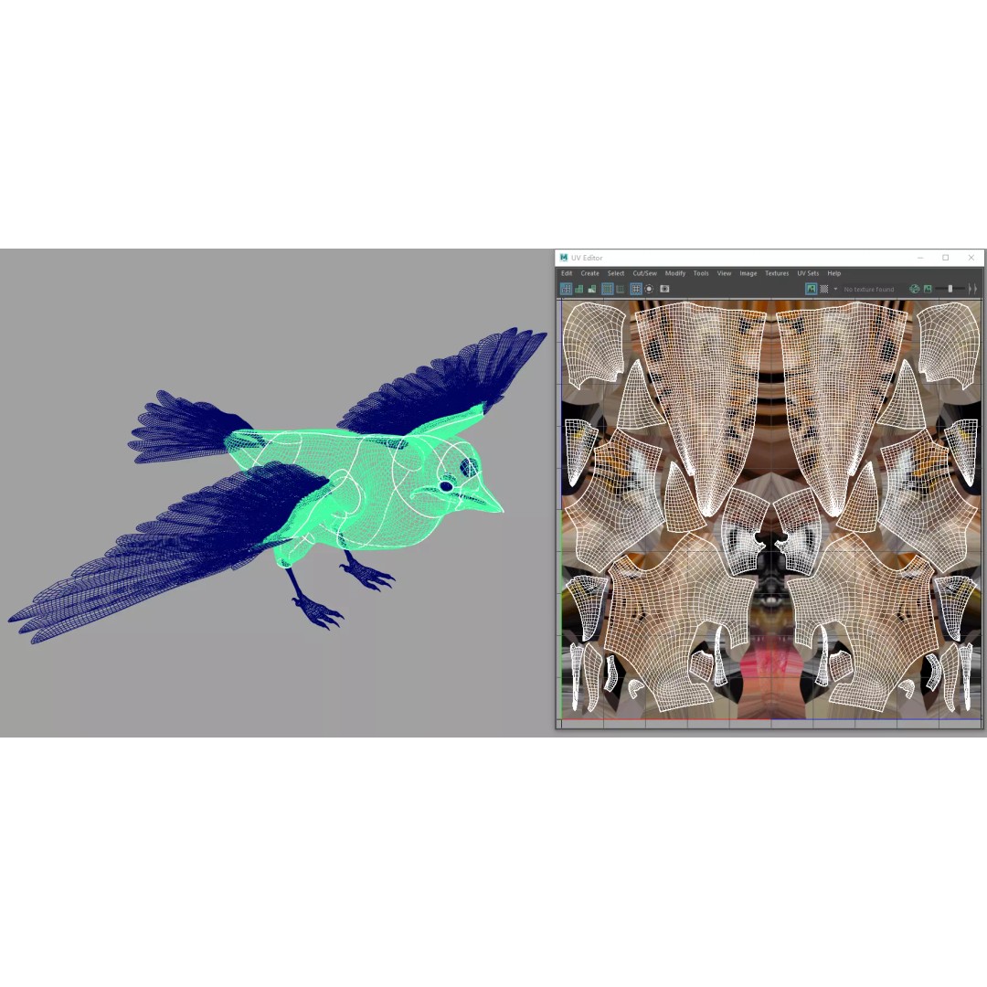 Sparrow Bird 3D Model – Rigged Animal Asset, FBX, OBJ - View 11