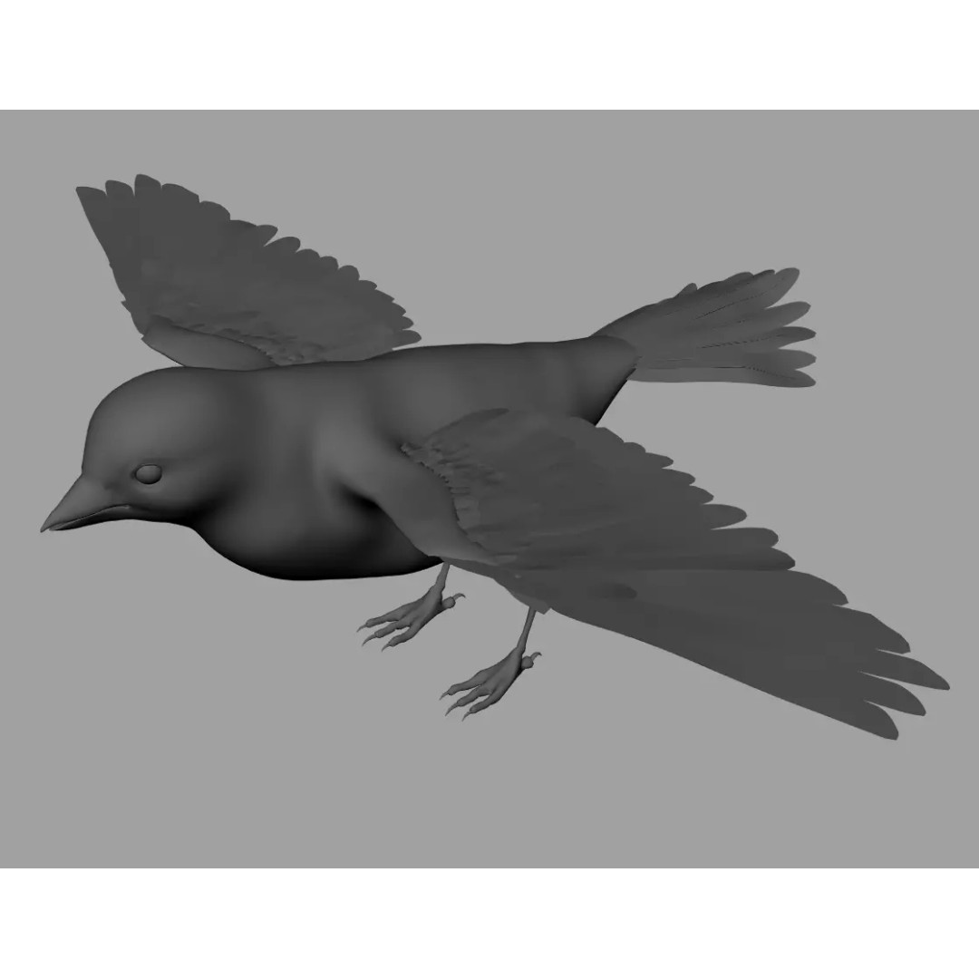 Sparrow Bird 3D Model – Rigged Animal Asset, FBX, OBJ - View 9
