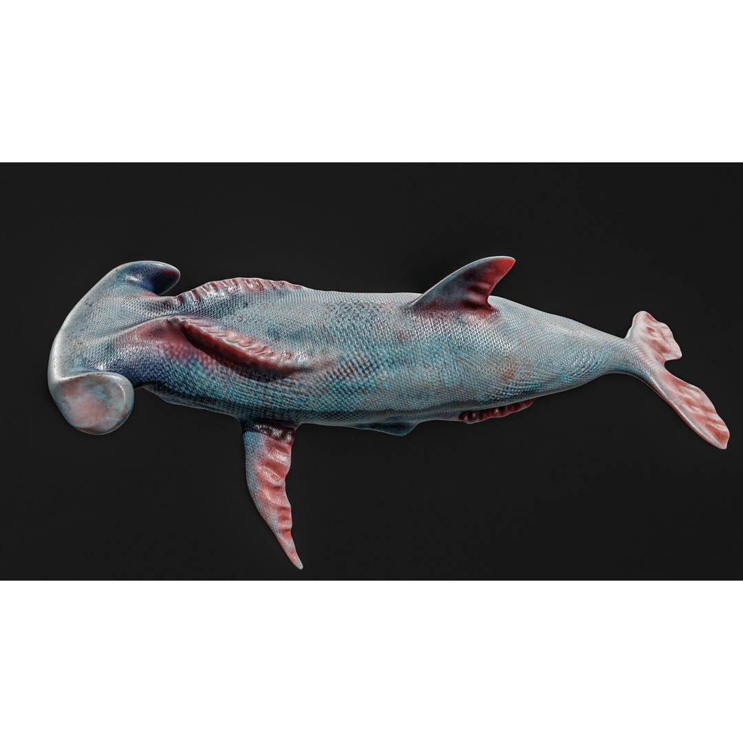 Monster Fish 3D Model – Low Poly Game Asset, PBR Textures, FBX - View 8