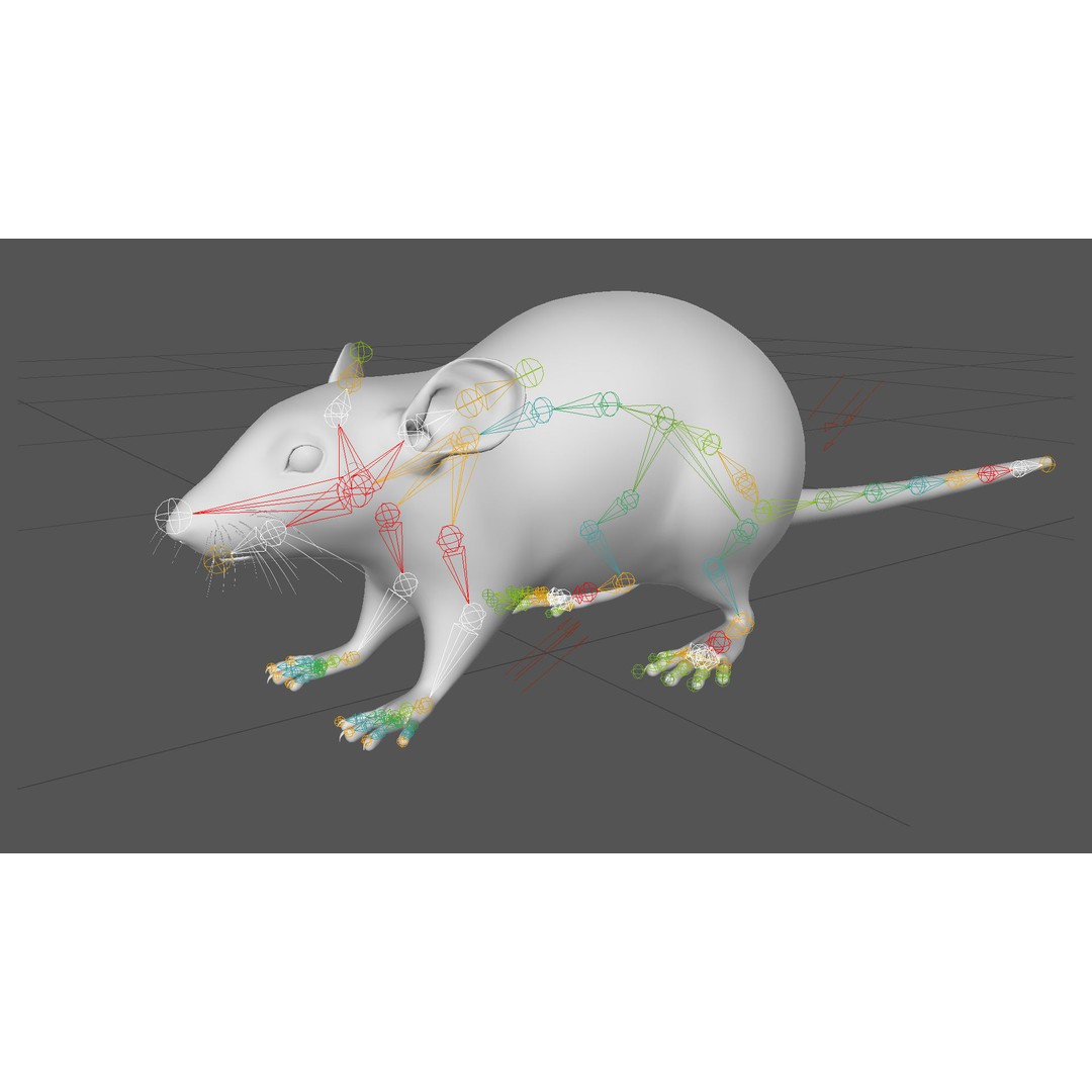 White Rat 3D Model – Rigged and Animation Ready, FBX, PBR - View 19