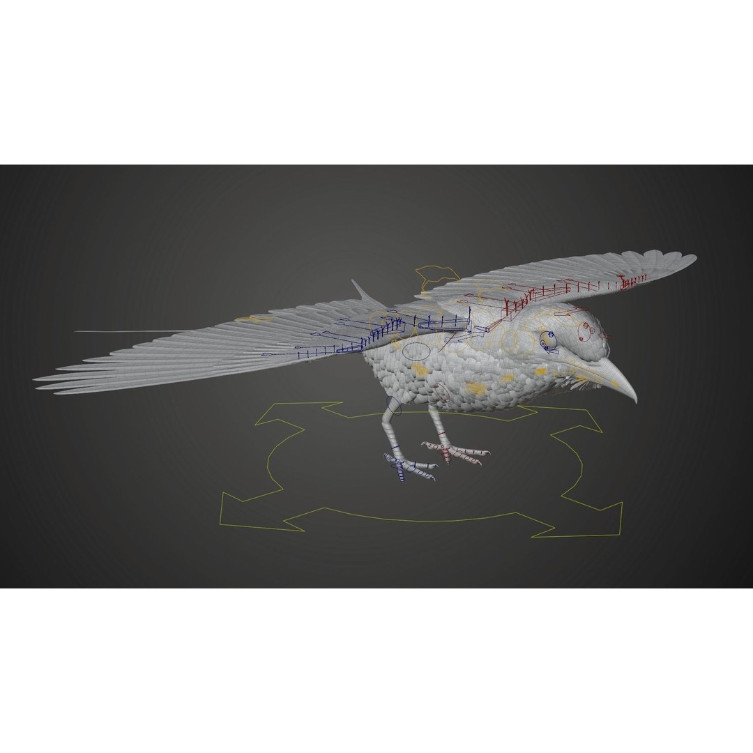 Coracias Caudatus 3D Model – High Poly Rigged Bird with Animations, Blender - View 20