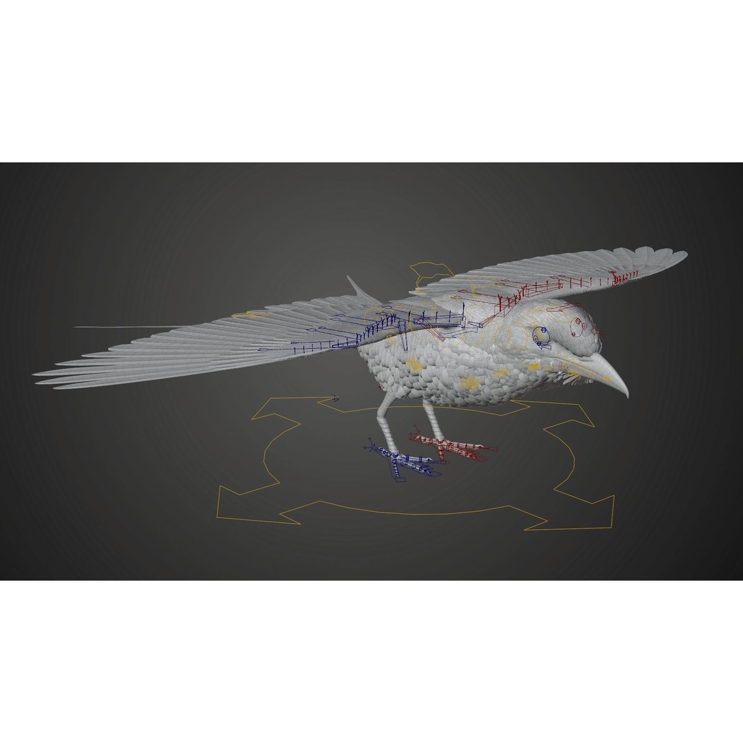 Coracias Caudatus 3D Model – High Poly Rigged Bird with Animations, Blender - View 21