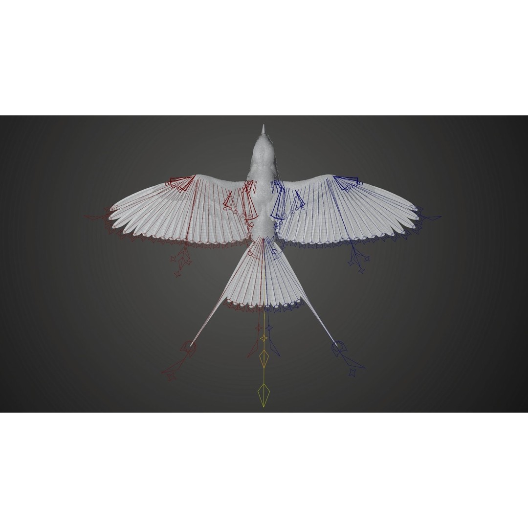 Coracias Caudatus 3D Model – High Poly Rigged Bird with Animations, Blender - View 23