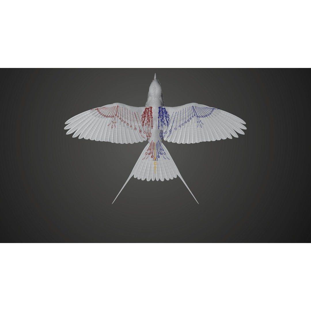 Coracias Caudatus 3D Model – High Poly Rigged Bird with Animations, Blender - View 25