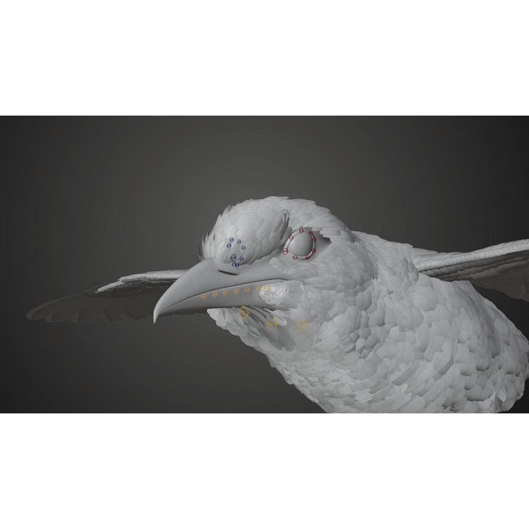 Coracias Caudatus 3D Model – High Poly Rigged Bird with Animations, Blender - View 31