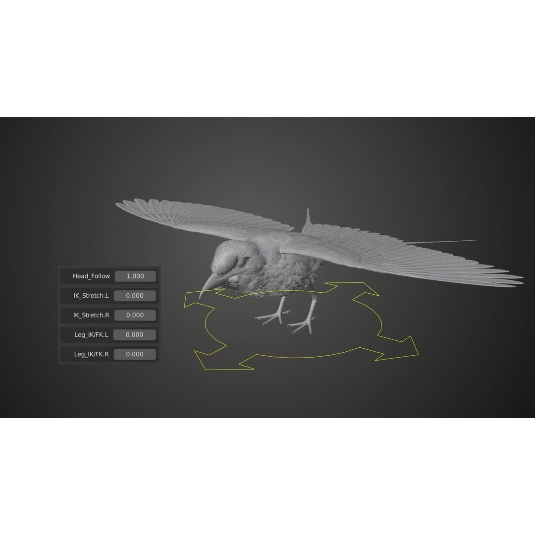 Coracias Caudatus 3D Model – High Poly Rigged Bird with Animations, Blender - View 34