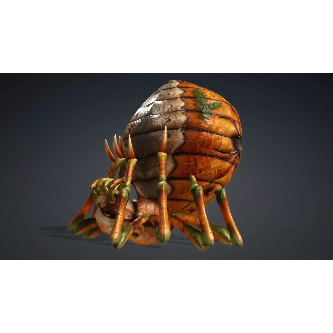 Spider 3D Model – Low Poly Animated Insect for Games, FBX - View 10