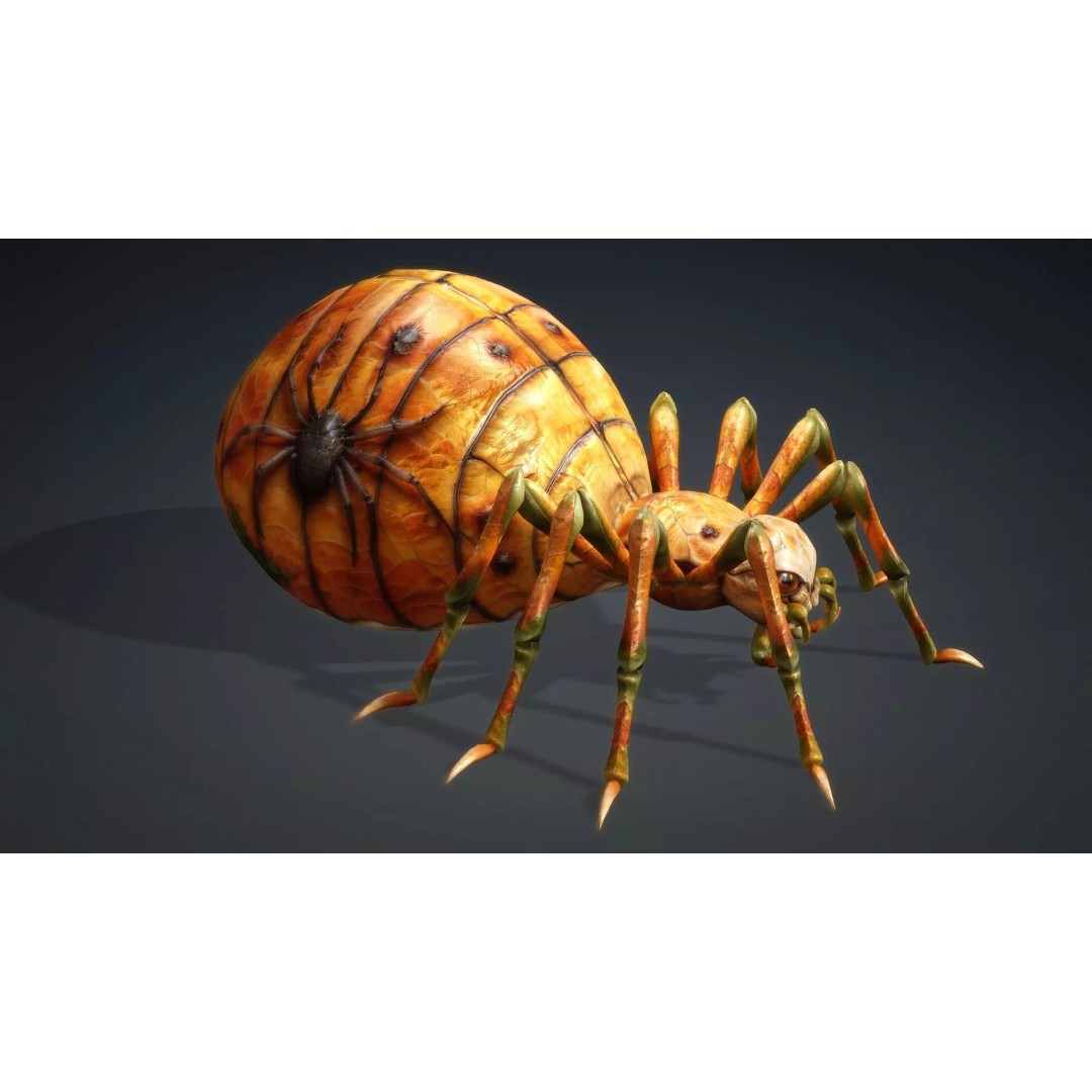Spider 3D Model – Low Poly Animated Insect for Games, FBX - View 11