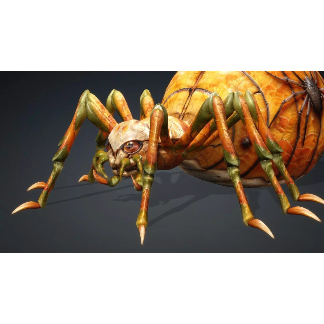 Spider 3D Model – Low Poly Animated Insect for Games, FBX - View 12