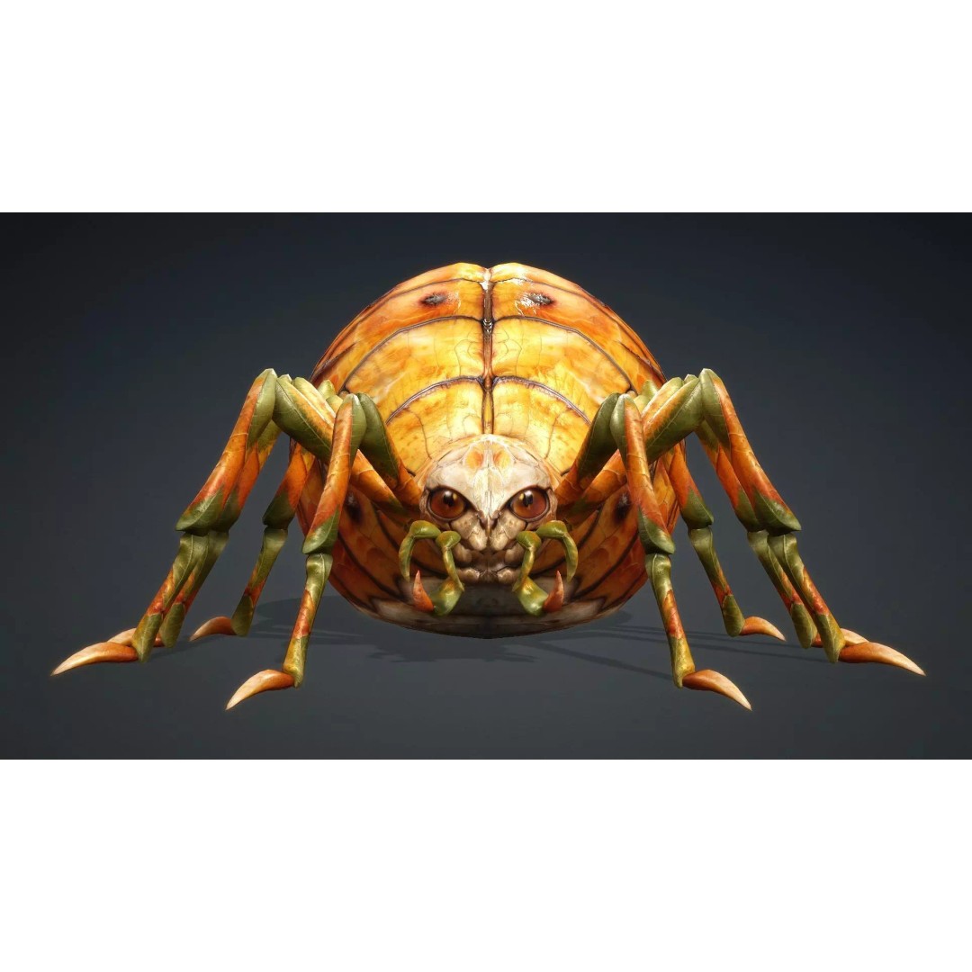 Spider 3D Model – Low Poly Animated Insect for Games, FBX - View 13
