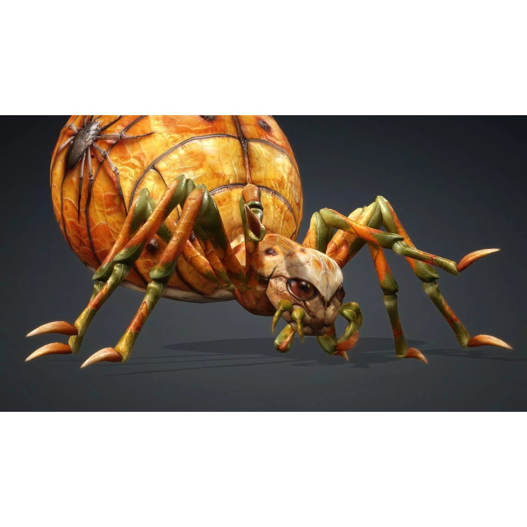 Spider 3D Model – Low Poly Animated Insect for Games, FBX - View 15