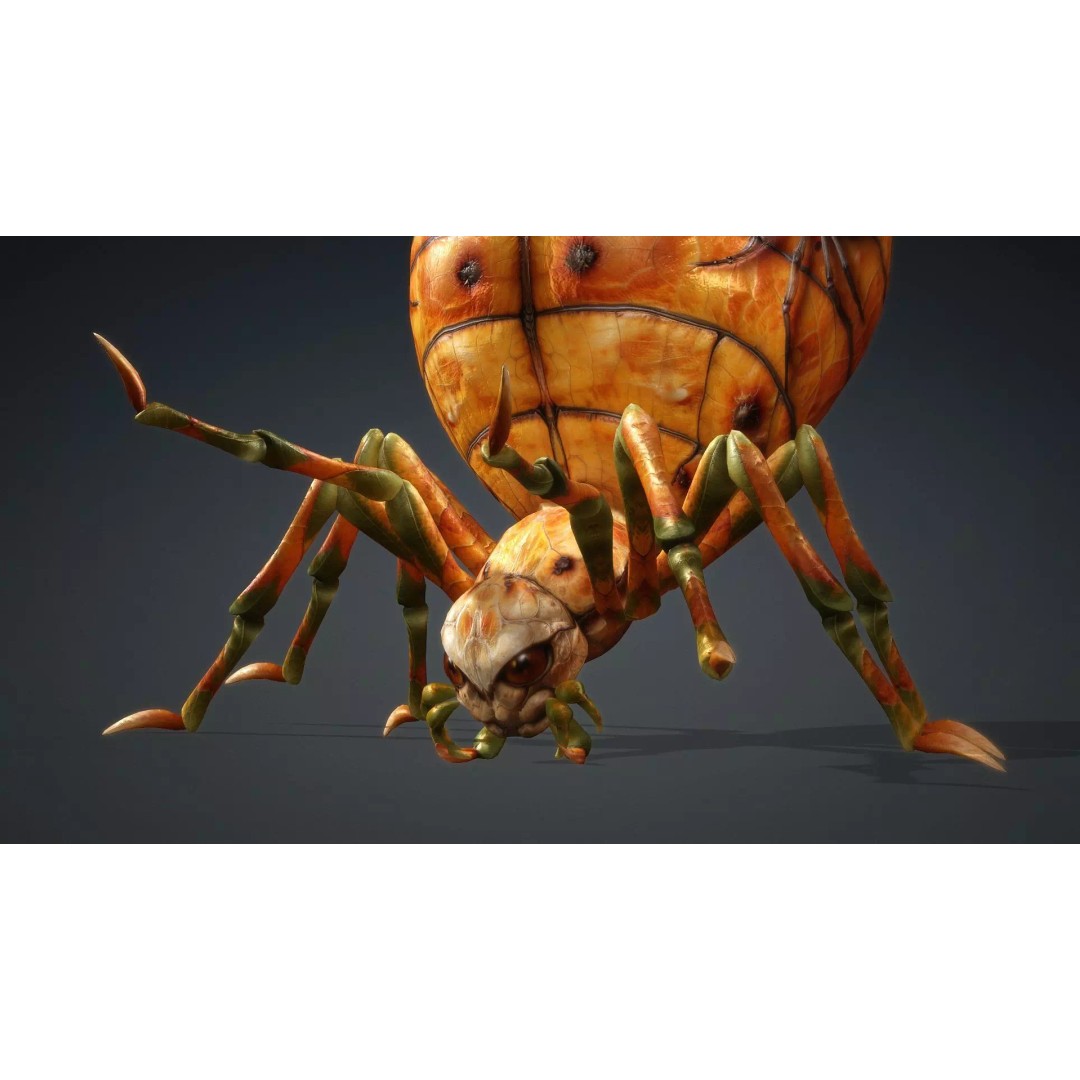 Spider 3D Model – Low Poly Animated Insect for Games, FBX - View 16