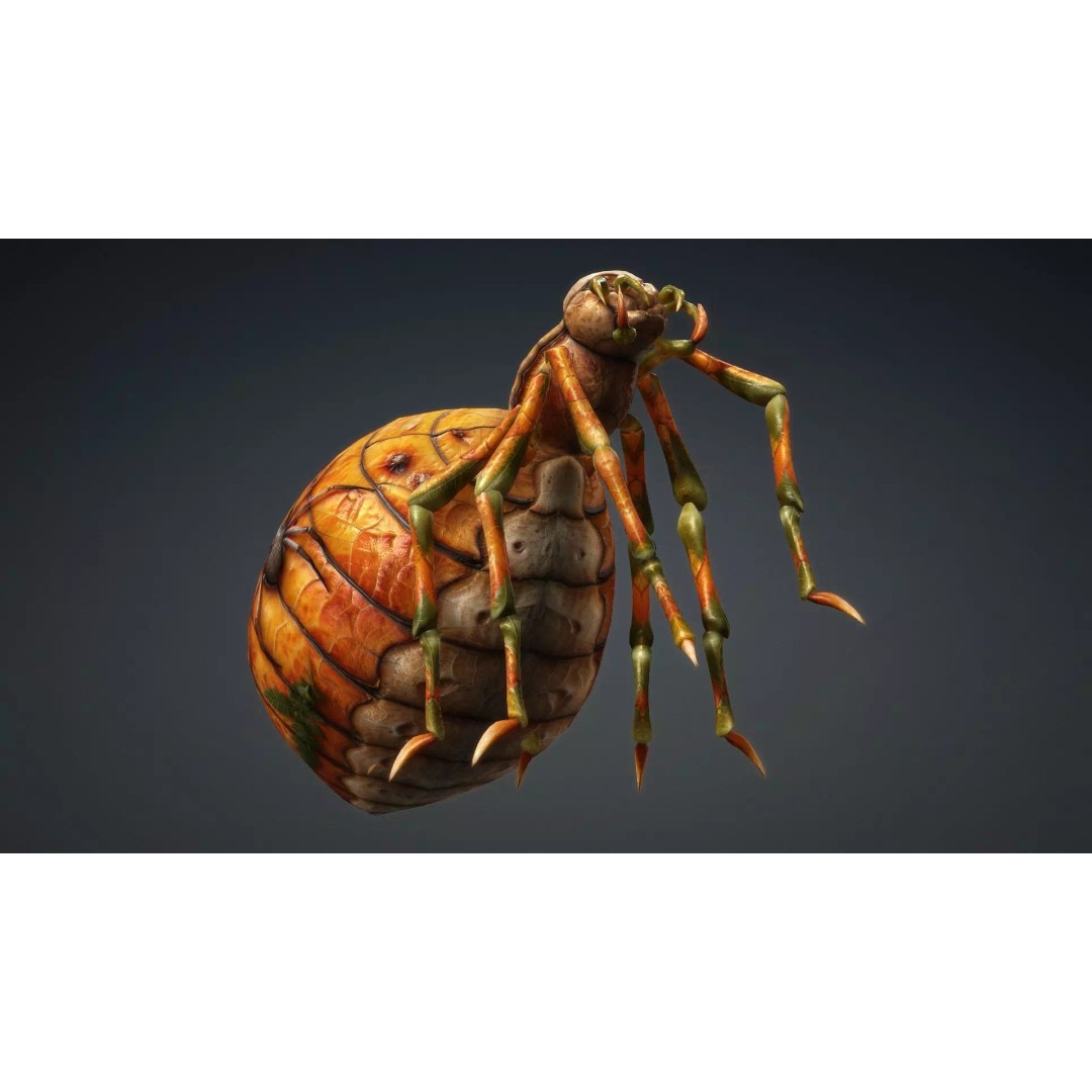 Spider 3D Model – Low Poly Animated Insect for Games, FBX - View 18