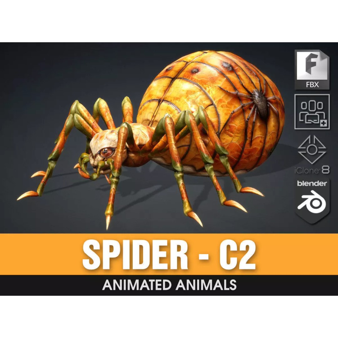 Spider 3D Model – Low Poly Animated Insect for Games, FBX - View 2