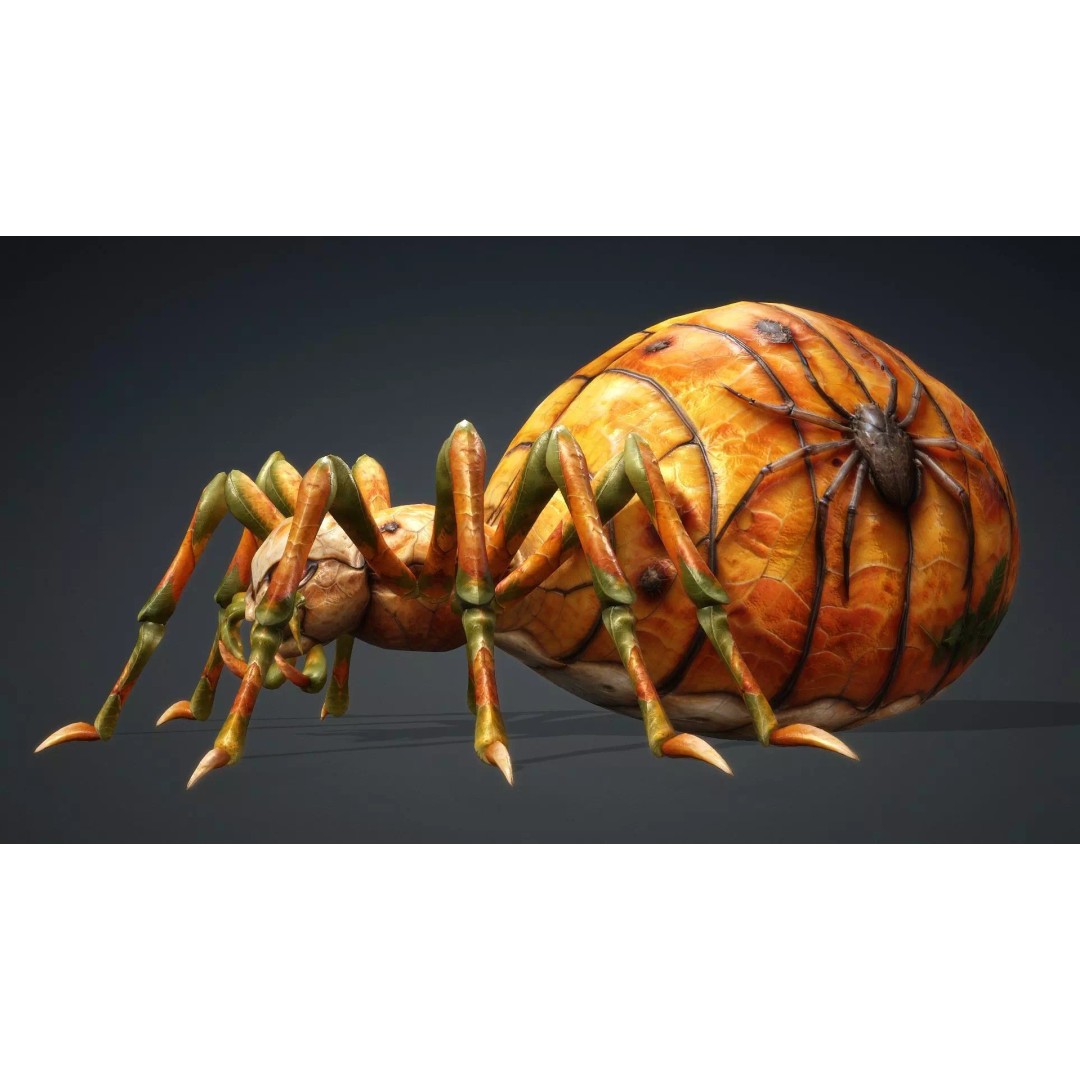 Spider 3D Model – Low Poly Animated Insect for Games, FBX - View 4