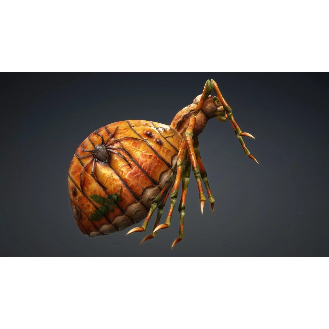Spider 3D Model – Low Poly Animated Insect for Games, FBX - View 5