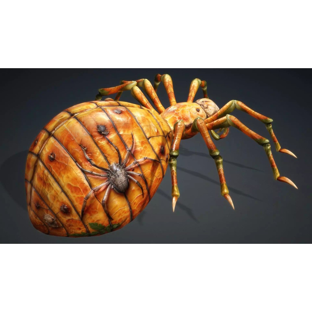 Spider 3D Model – Low Poly Animated Insect for Games, FBX - View 6