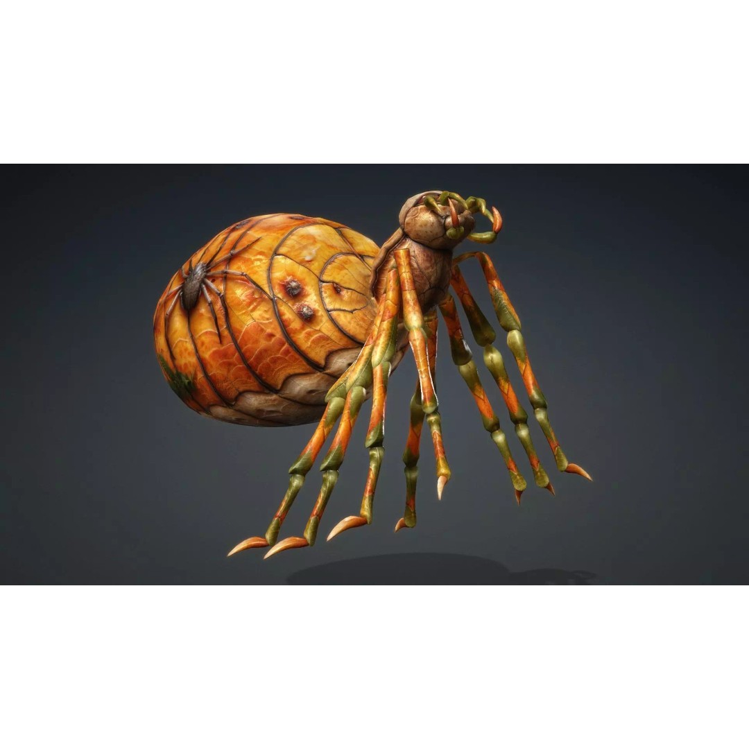 Spider 3D Model – Low Poly Animated Insect for Games, FBX - View 7