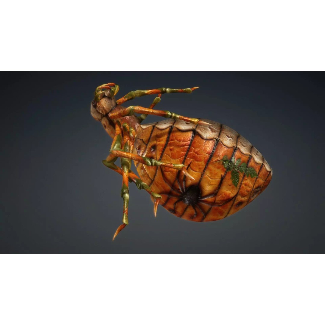 Spider 3D Model – Low Poly Animated Insect for Games, FBX - View 8