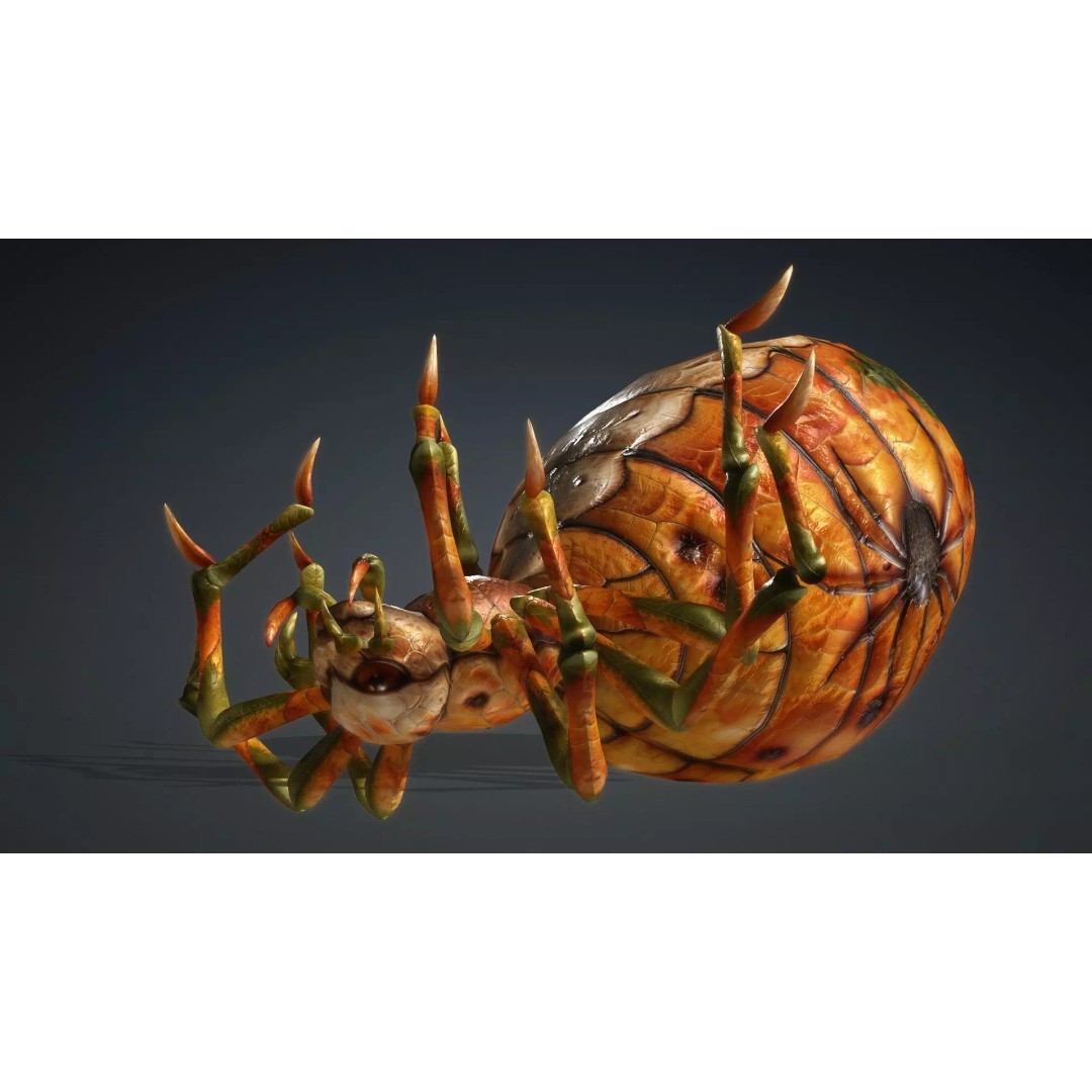 Spider 3D Model – Low Poly Animated Insect for Games, FBX - View 9