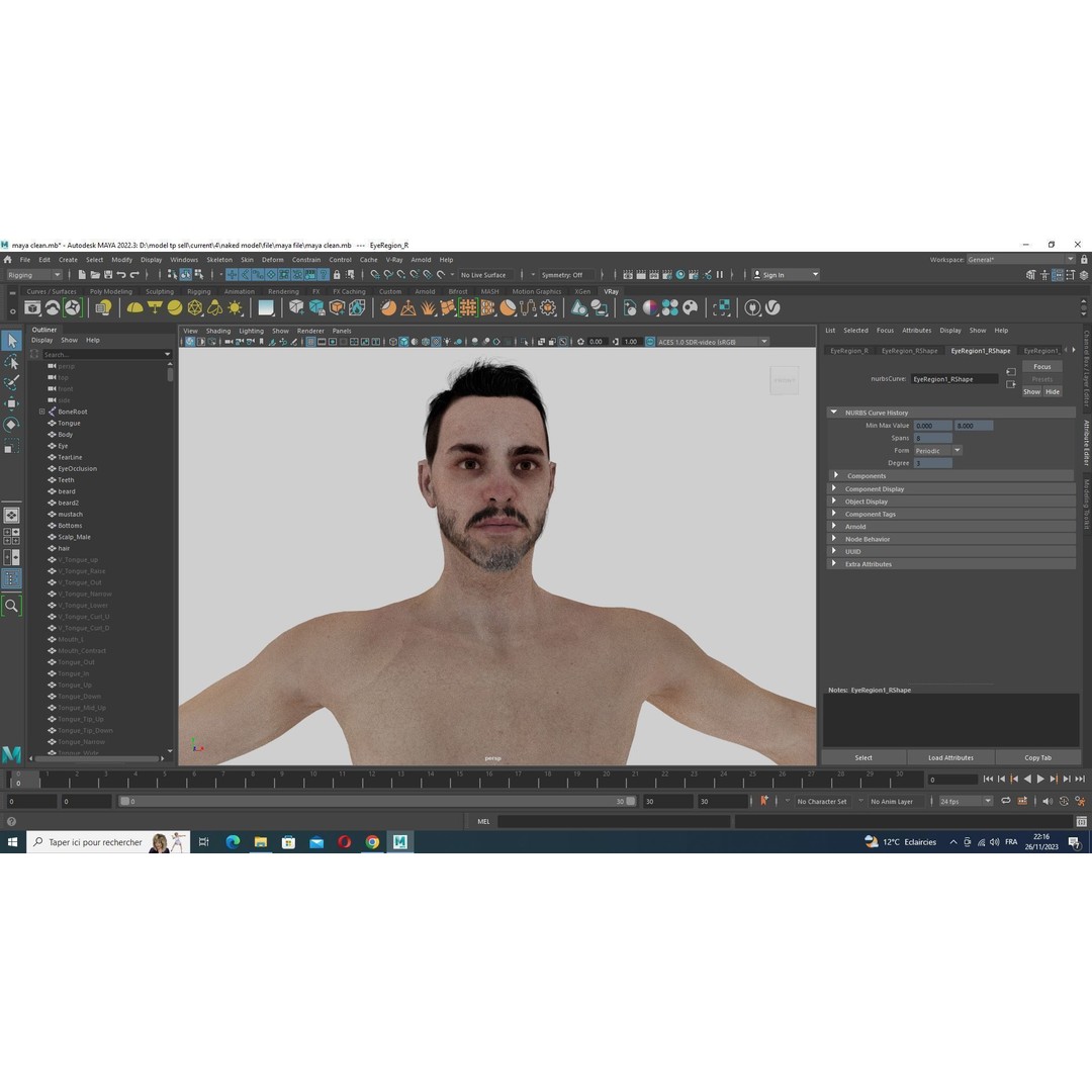 Maple Sentinel 3D Model – Low Poly Rigged Character with PBR Textures - View 37
