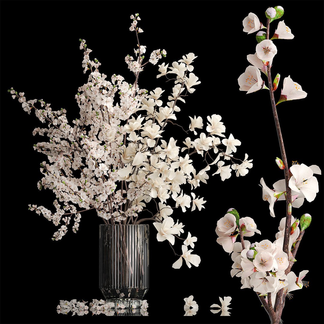 Sakura Bouquet 3D Model – White Cherry Blossoms in Glass Vase - View 10