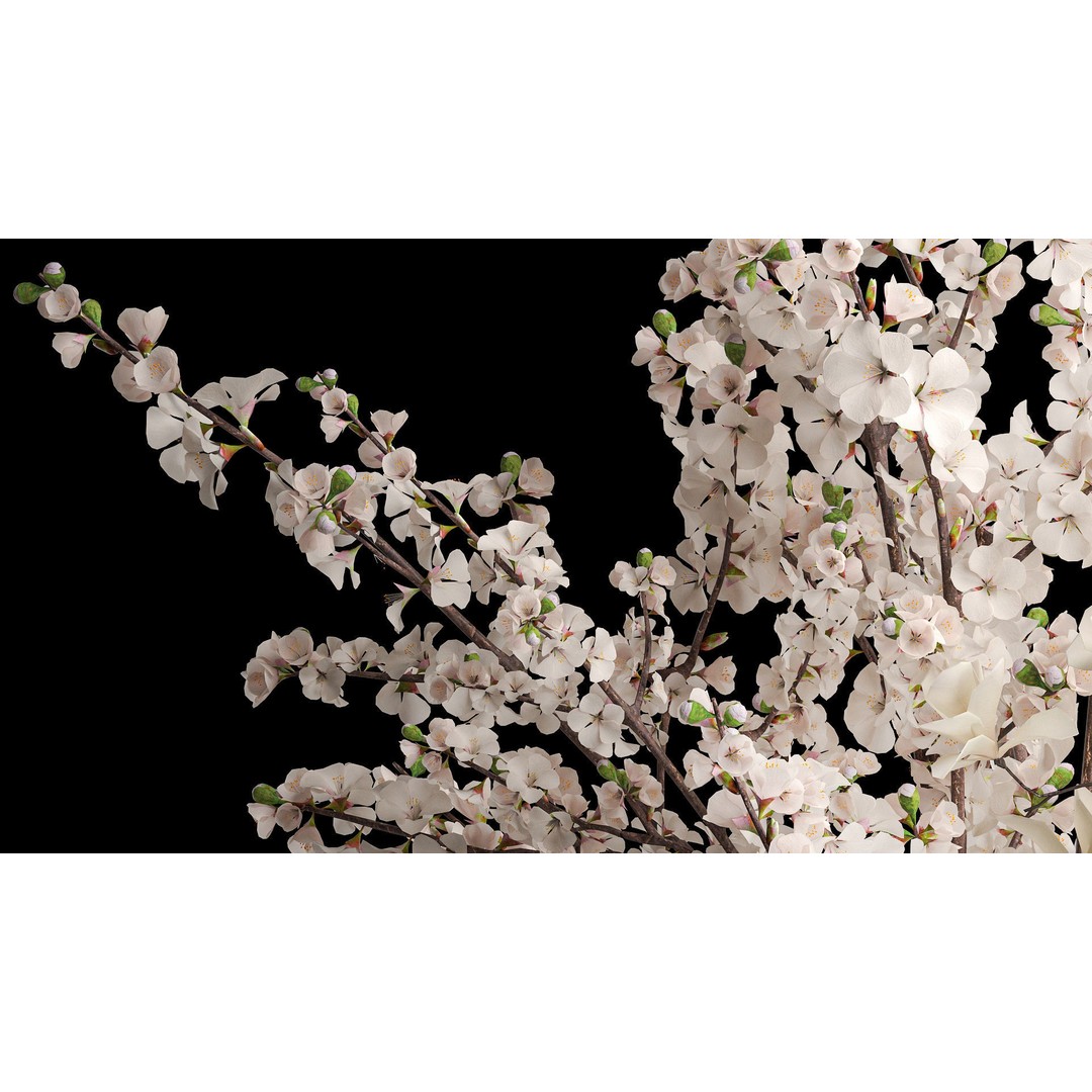 Sakura Bouquet 3D Model – White Cherry Blossoms in Glass Vase - View 5