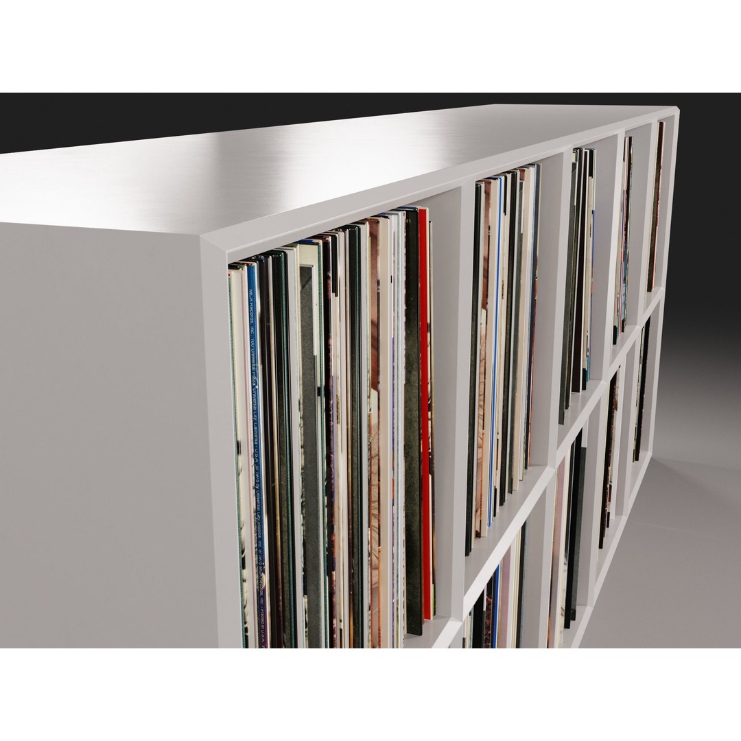Vinyl Storage No44 3D Model – Realistic Furniture Organizer, FBX, Blender - View 10